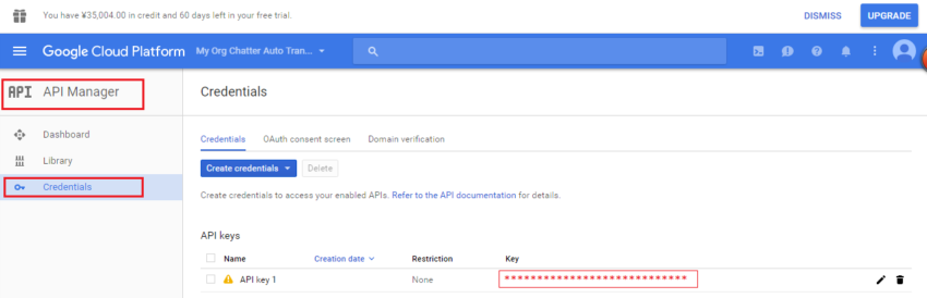 How to get Google Translate API Key | Cloud Applications Support